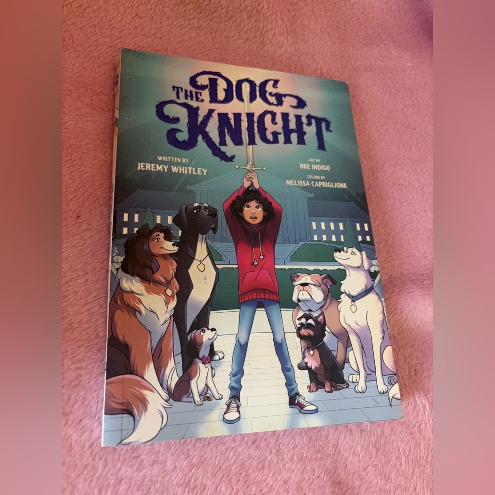 The dog knight graphic novel for tweens